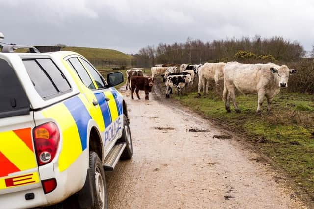 Thames Valley Police have launched a rural crime task force (Image from the TVP Cherwell Facebook page)