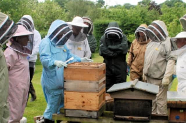 Those interested in bee keeping are invited to a two day course that will give information about this wonderful occupation