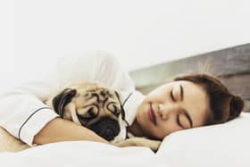 Allowing your dog to sleep in your bed can have health benefits (photo: Adobe)