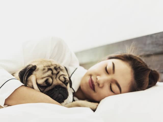 Allowing your dog to sleep in your bed can have health benefits (photo: Adobe)