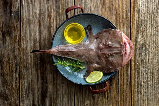 Monkfish: Is the perfect example of why you shouldn’t judge a book by its cover! Monkfish is a particularly strange looking fish but is a fine-dining favourite