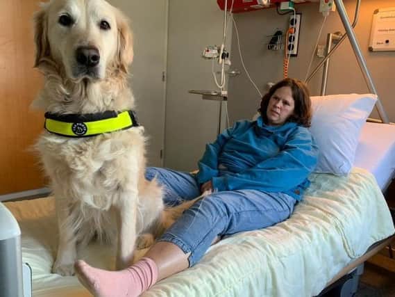 Assistance dogs can bring huge benefit to hospital and care setting patients and their paws are no riskier than the soles of our feet, says Banbury charity Dogs for Good
Picture by Utrecht University