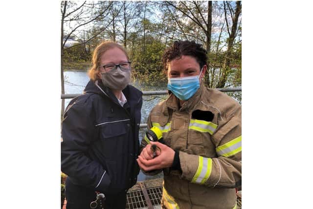 Firefighters along with officials from the RSPCA rescued a duckling stuck in a storm drain in Banbury yesterday, Tuesday May 4. (Image from the Oxfordshire Fire & Rescue Facebook page)