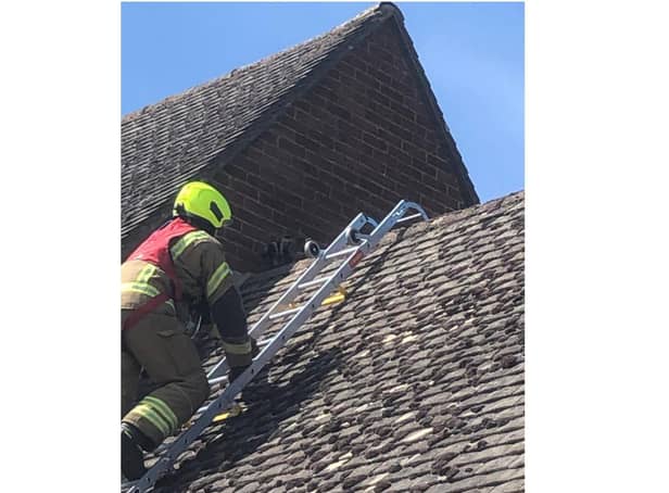 Firefighters rescued at cat from a roof in Twyford, Banbury today, Thursday May 6. (Image from Oxfordshire Fire & Rescue Facebook page)