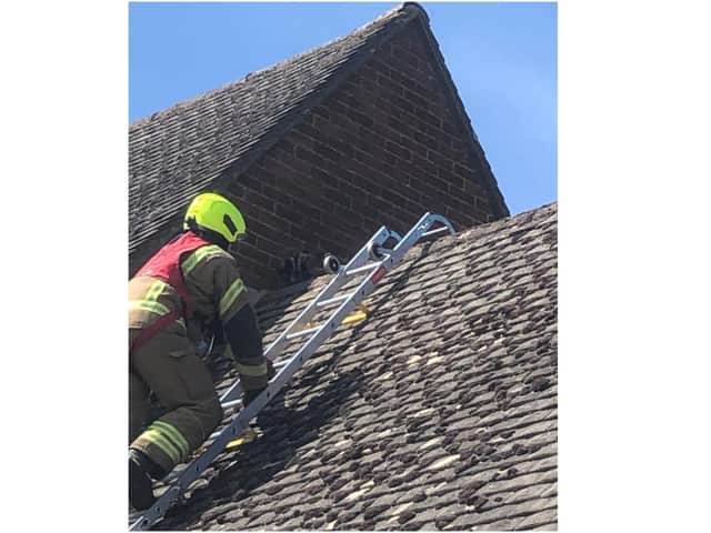 Firefighters rescued at cat from a roof in Twyford, Banbury today, Thursday May 6. (Image from Oxfordshire Fire & Rescue Facebook page)