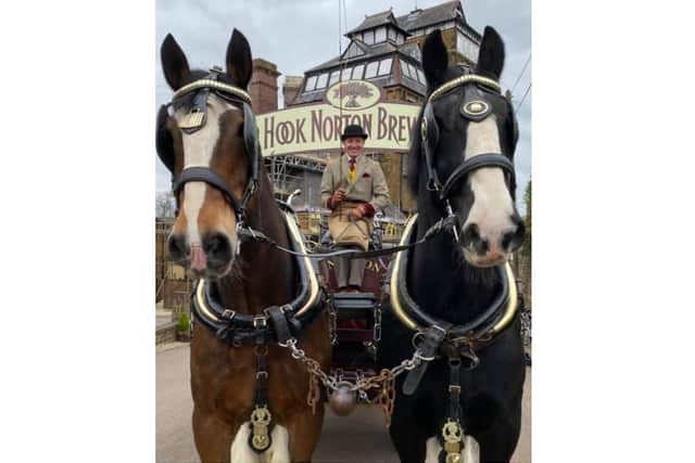 Hook Norton’s Shire horses will put in appearances at this year's music festival - Fairport’s Cropredy Convention (Image from Fairport’s Cropredy Convention)
