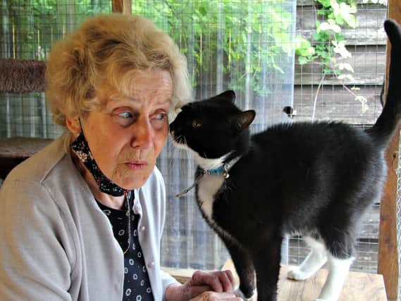 BARKS volunteer Wendy Lewis with Milo who would love to find a new owner (Image from BARKS)