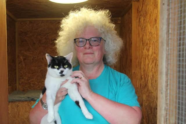 Pat McCombes cuddles a new BARKs rescue cat - he's such a recent arrival he has no name yet (Image from BARKS charity)