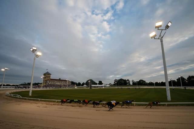 Towcester Racecourse hosts the Greyhound Derby on Saturday night