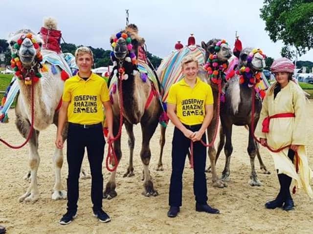 Josephs Amazing Camels Countryside Show and Camel Racing Extravaganza returns to Shipston farm on Sunday July 18 (submitted photo from the farm)
