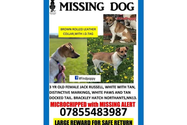 A national charity is helping in the efforts to find Poppy, who has gone missing from a South Northamptonshire family farm.