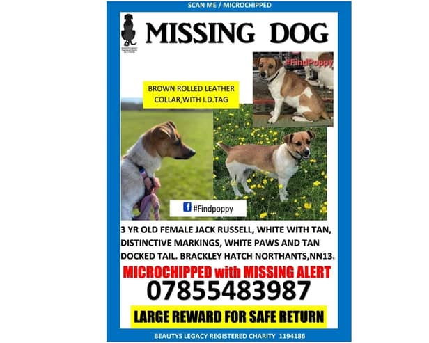 A national charity is helping in the efforts to find Poppy, who has gone missing from a South Northamptonshire family farm.