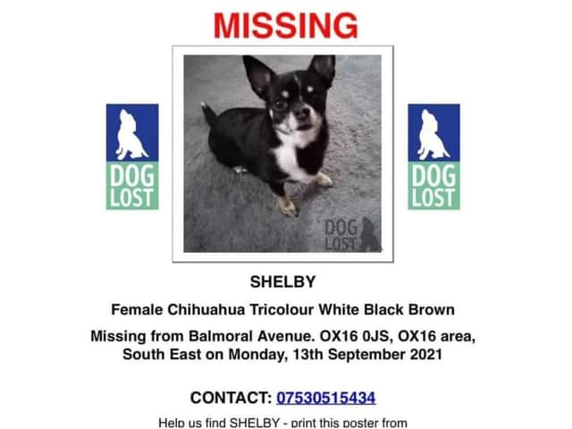 Shelby, who has been missing since Monday September 13, has been registered with Dog Lost UK, the UK's largest lost and found dog service.