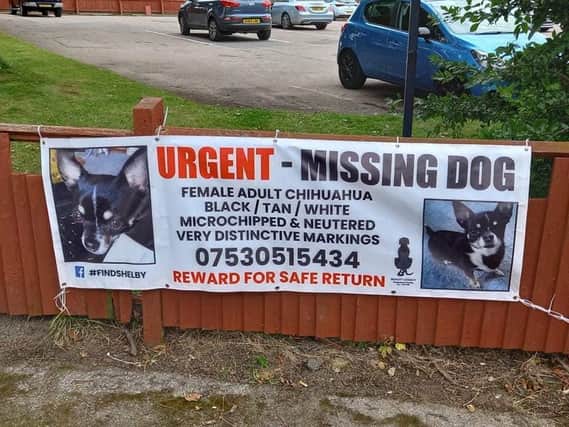 A reward has been offered for information leading to the return of a stolen beloved Banbury dog called Shelby. (Image: One of several 6-foot banners)
