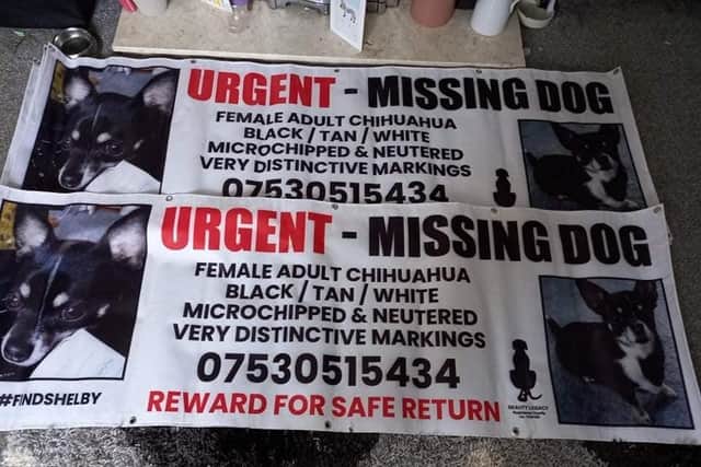 Some of the several 6-foot banners made to help find Shelby, a missing Banbury dog now considered stolen