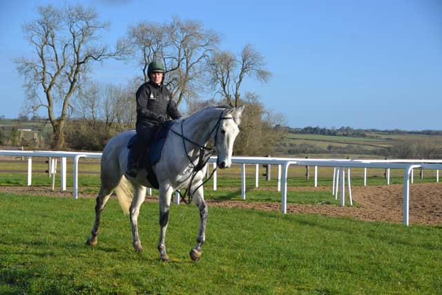 Groom Jess Benfield exercises Snow Leopardess daily at Charlie Longsdon Racing