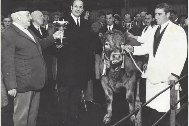 Bloxham cattle breeder Thomas Smith receives the trophy for the best beast in the Fatstock show from champion boxer Henry Cooper. Holding the Limousin bull is Peter Smith and behind him Tommy Smith