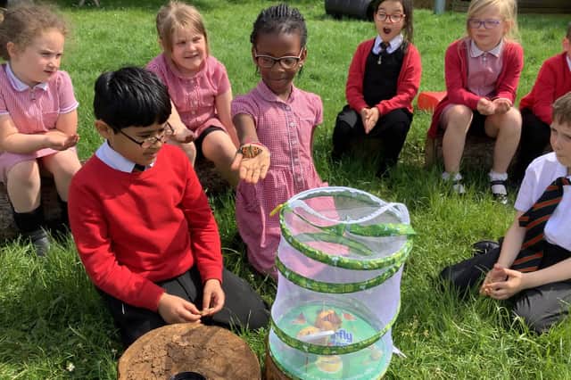 Year two pupils at Orchard Fields Community School released their painted lady butterflies into the new forest school area. (photo from the school)