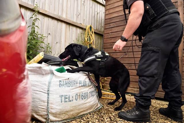 Sniffer dogs are used by police at The Beeches earlier this month