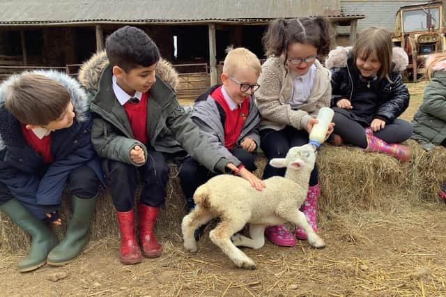 Pupils from Orchard Fields Community School fed the lambs and learned about how a farm works during a visit to Broughton Grounds Farm. (photo from the school)