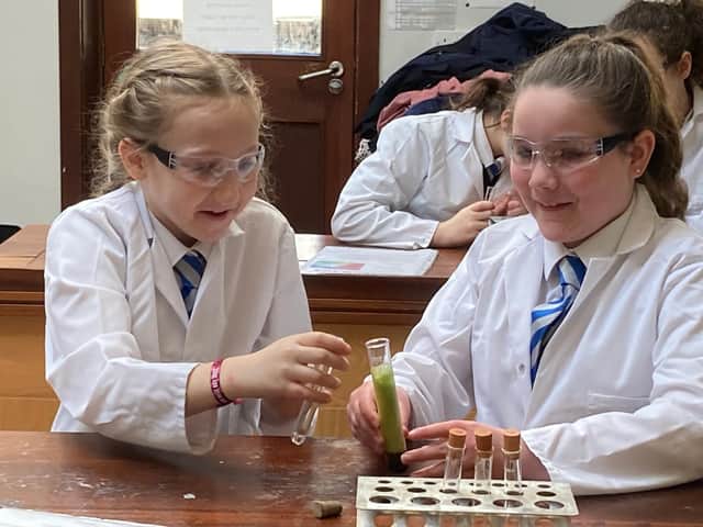 Harriers Academy Banbury pupils Ana-Rose Woods-Leader and Ava Murdoch take part in Science Week activities