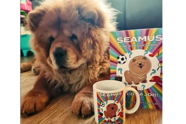 Joseph Whitfield's new book is called 'Seamus the chow chow, Needs a job'