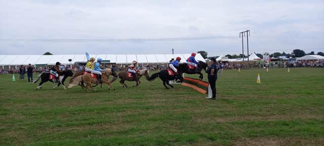 One of the crowd's favourite events at Moreton Show - the Shetland Grand National