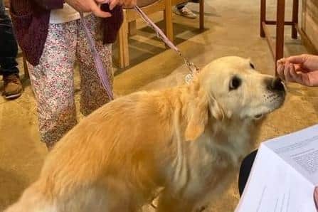 One of the many pets receiving a church blessing