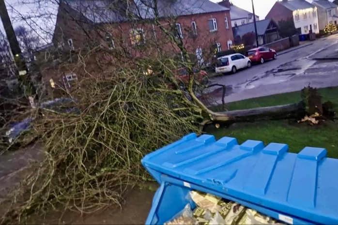 King's Sutton was hit particularly badly with flooding and this tree that came down close to the village's Co-op store.
