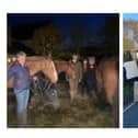 Seven horses used for polo were rescued from a stuck horse box near Shipston-on-Stour yesterday.