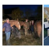 Seven horses used for polo were rescued from a stuck horse box near Shipston-on-Stour yesterday.