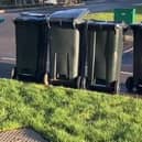 West Northants Council's plan to introduce three-weekly black bin collections has been challenged