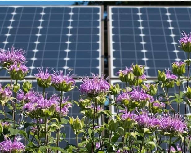 Have your say on the Botley West Solar Farm. Picture – supplied