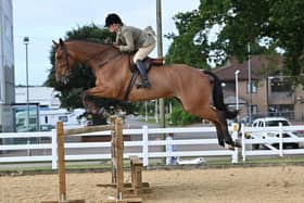 Rodney, piloted by Laura Juniper, show how to jump a working hunter obstacle in admirable style