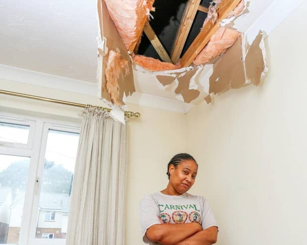 Dr Carla George is pictured showing the damage to the ceiling caused by ice falling from an aircraft through her roof