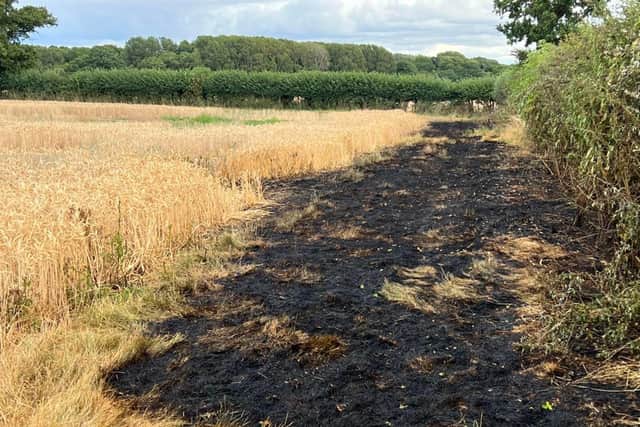 Crops were saved after firefighters used water jets to extinguish the fire near Weston on the Green