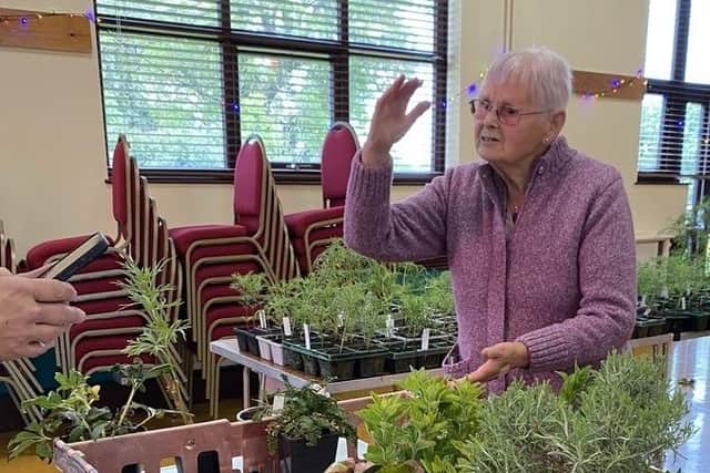 Keen gardener Kate Wright sells plants at the Chipping Warden sale