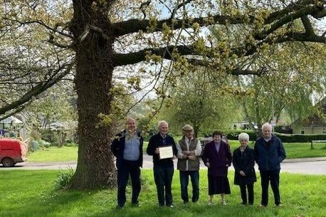 Chipping Warden - Mick Cooknell, Bill Ludgate, Clive Woodford, Cynthia Cooknell, Sandra (nee Burbidge) and Fred Haynes next to the 1953 oak tree planted to mark the coronation of Queen Elizabeth II
