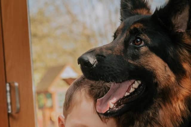 Freddie Croft with Chomper the German Shepherd who was given to him at the end of his treatment