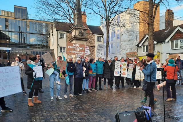 Supporters listened to midwives' and campaigners' calls for more investment and better conditions for those working in maternity units