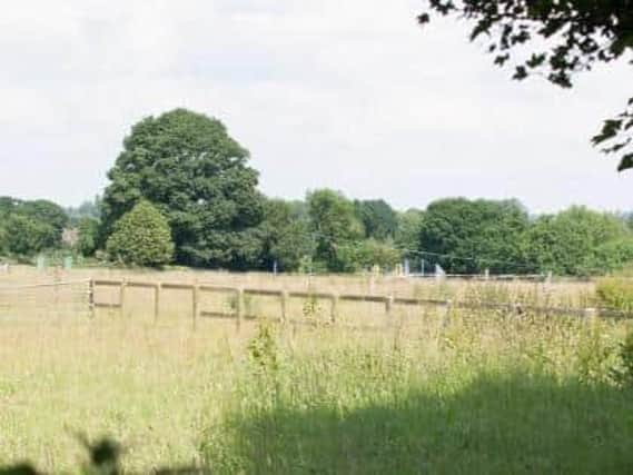 The pony paddocks on which Hayfield Homes will build 40 eco-homes
