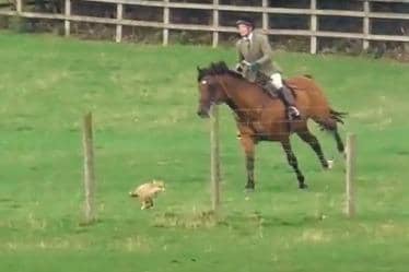 An image from the video taken by West Midlands Hunt Saboteurs