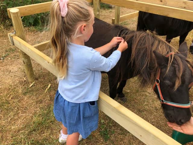 Pony pampering goes ahead three times a week at Fairytale Farm