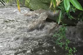 Sewage is repeatedly dumped in our rivers.