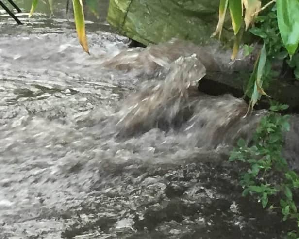 Sewage is repeatedly dumped in our rivers.