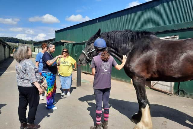 The Banbury group was introduced to a number of ex-racehorses and a huge 20-hand Shire horse.