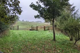 Ells Farm, where a 36-acre habitat 'bank' has been established. Developers who need to demonstrate biodiversity gain can pay for a plot