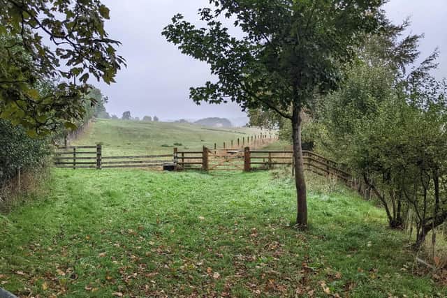 Ells Farm, where a 36-acre habitat 'bank' has been established. Developers who need to demonstrate biodiversity gain can pay for a plot