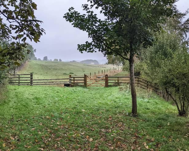 Ells Farm, where a 36-acre habitat 'bank' has been established. Developers who need to demonstrate biodiversity gain can pay for a plot
