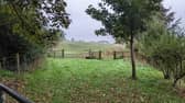 Ells Farm, where a 36-acre habitat 'bank' has been established. Developers who need to demonstrate biodiversity gain can pay for a plot